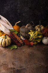 Wall Mural - Autumn still life with pumpkin