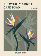 Abstract Poster - Flower Market Cape Town. Trendy Botanical Wall Art With Floral Design In Earth Tone Colors. Modern Interior Decoration, Painting. Bird Of Paradise Flower Vector Art Illustration.