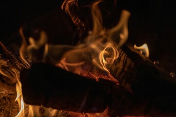 Wall Mural - Closeup of the wooden logs burning in the dark