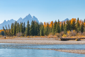 Wall Mural - Autumn Landscape on the Snake River in Grand Taton National Park Wyoming