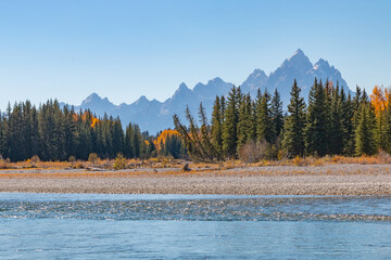 Wall Mural - Autumn Landscape on the Snake River in Grand Taton National Park Wyoming