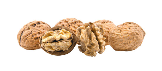 Sticker - Walnuts on transparent png