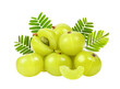 Indian gooseberry isolated on transparent png