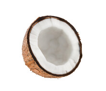 Coconut Isolated On Transparent Png