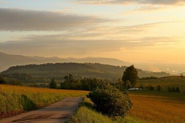 Wall Mural - Narrow trail in front of a meadow at sunset with a beautiful cloudy sky in the background