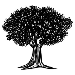 apple oak tree vintage drawing illustrations vector