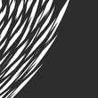 Abstract black and white background with eagle feather pattern and with some copy space area