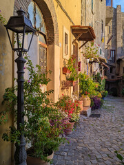 Wall Mural - Charming floral narrow streets of typical italian villages. Castelnuovo di Porto in Lazio - famous with fllower decorated walls