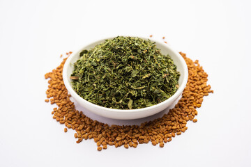 Wall Mural - Kasuri Methi or Kasoori Methi or dried fenugreek leaves also known as Trigonella Foenum Graecum