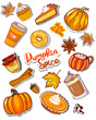 Pumpkin spices sticker set  hand drawn. Set of pumpkin stickers, coffee, pumpkin latte, cinnamon, star anise, pumpkin pie, cupcake. Autumn stickers for stickerbook, diary, print