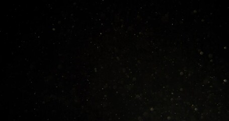 Wall Mural - Dust Particles in motion in black screen. filmed with RED camera.