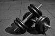 © Вячеслав - dumbbell on the rubber floor in the gym, black and white photography. Bodybuilding equipment. Fitness or bodybuilding concept background.