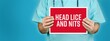 Head lice and nits. Doctor shows red sign with medical word on it. Blue background.