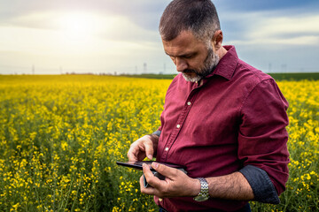 Wall Mural - Middle age farmer standing in rapeseed field with digital tablet examining crop.