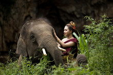 Smiling Girl Petting Elephant In Forest