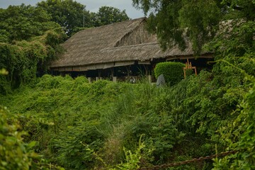 Poster - Lodge roof surrounded by trees with a blue sky in the background,Buu Long, Ho Chi Minh City, Vietnam