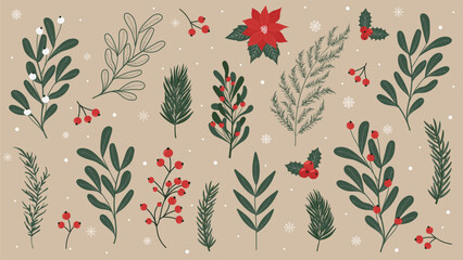 Wall Mural - Christmas set of winter plants, branches, Christmas trees, poinsettias, red berries, rowanberries. Vector