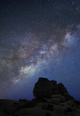 Canvas Print - Mesmerizing starry night sky over the desert in a vertical shot