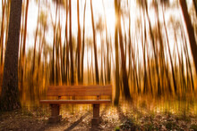 Bench And Motion Blurred Woodland Background. Peaceful Mood In The Forest