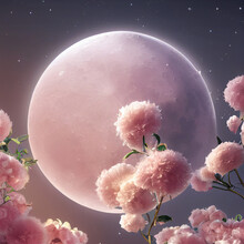 Pink Moon With Folwers Illustration