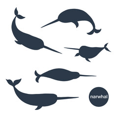 Wall Mural - Sea animal narwhal vector silhouette illustrations set.