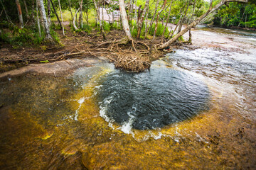 Wall Mural - View of some pools at Mutum Watefall (Cachoeira do Mutum)  - Presidente Figueiredo, Amazonas, Brazil