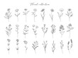 Set of cute trendy hand drawn flowers, branches, leaves. Vector line arrangements for stories highlights, greeting card or invitation and logo design