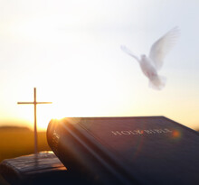 Bright Sunlight And White Dove And Holy Bible And Cross Silhouette Of Jesus Christ
