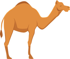 Poster - Camel icon. Wild desert fauna. Zoo animal