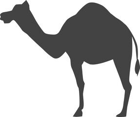 Sticker - Camel silhouette. Black desert animal icon. Caravan symbol