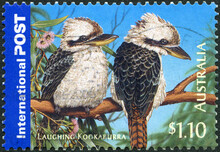 AUSTRALIA - 2005: Shows Laughing Kookarurra, Dacelo Novaeguineae, Bush Wildlife, 2005