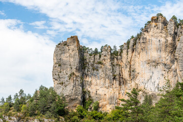 Wall Mural - Big cliff from hiking trail on the corniches of Causse Mejean above the Tarn Gorges.