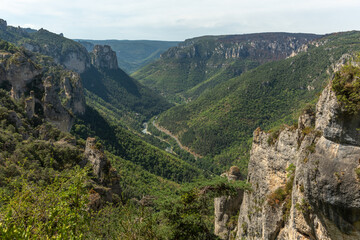 Wall Mural - Gorges of Tarn seen from hiking trail on the corniches of Causse Mejean above the Tarn Gorges.