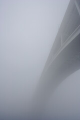 Wall Mural - Arrabida bridge in the mist