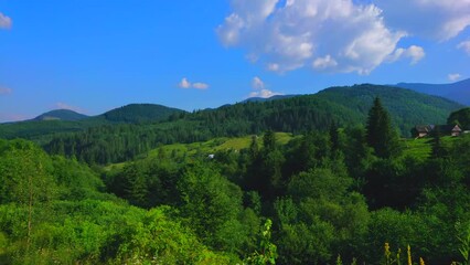 Poster - Panorama of Carpathians from the mountain forest, Dzembronia, Ukraine