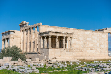 Wall Mural - Details of Erechtheion in Athens of Greece,