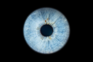 Wall Mural - Human eye pupil close up isolated on black background