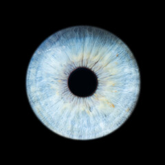 human eye pupil close up isolated on black background