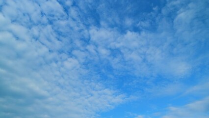 Wall Mural - Fluffy curly rolling cloud in windy weather. Blue sky white clouds. Time lapse.