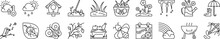 Spring Icons Collection Vector Illustration Design