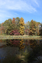 Autumn Foliage At A Midwest Lake Queeny Park St. Louis Missouri
