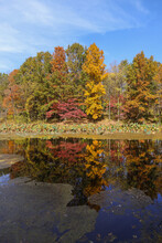 Autumn Foliage At A Midwest Lake Queeny Park St. Louis Missouri
