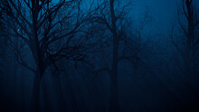 Trees In Eerie Woodland. Halloween Background.