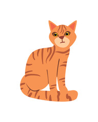 Sticker - flat tabby cat