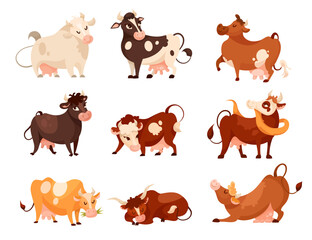 Wall Mural - comic cows of different breeds vector illustrations set. jersey, ayrshire, holstein friesian or neth