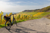 Fototapeta Uliczki - Fahrradtour in den Weinbergen an der Mosel im Herbst.
