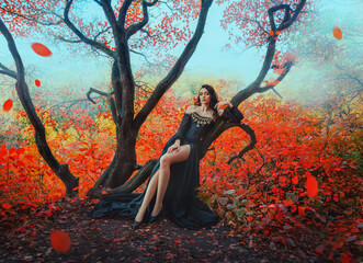 Wall Mural - Fantasy woman dark queen sitting on tree branch autumn magic forest. Long gothic black dress. lady witch sexy legs . Photo art old style. Girl fairy princess fashion model. Orange red leaves falling