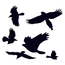 Set Of Soaring Birds Silhouettes