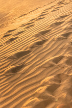 Background Of Orange Beach Sand