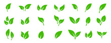 Leaves Icon Set. Collection Green Leaf For Natural, Eco, Vegan, Bio Labels. Vector Set